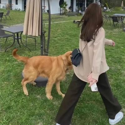 地狱疆场